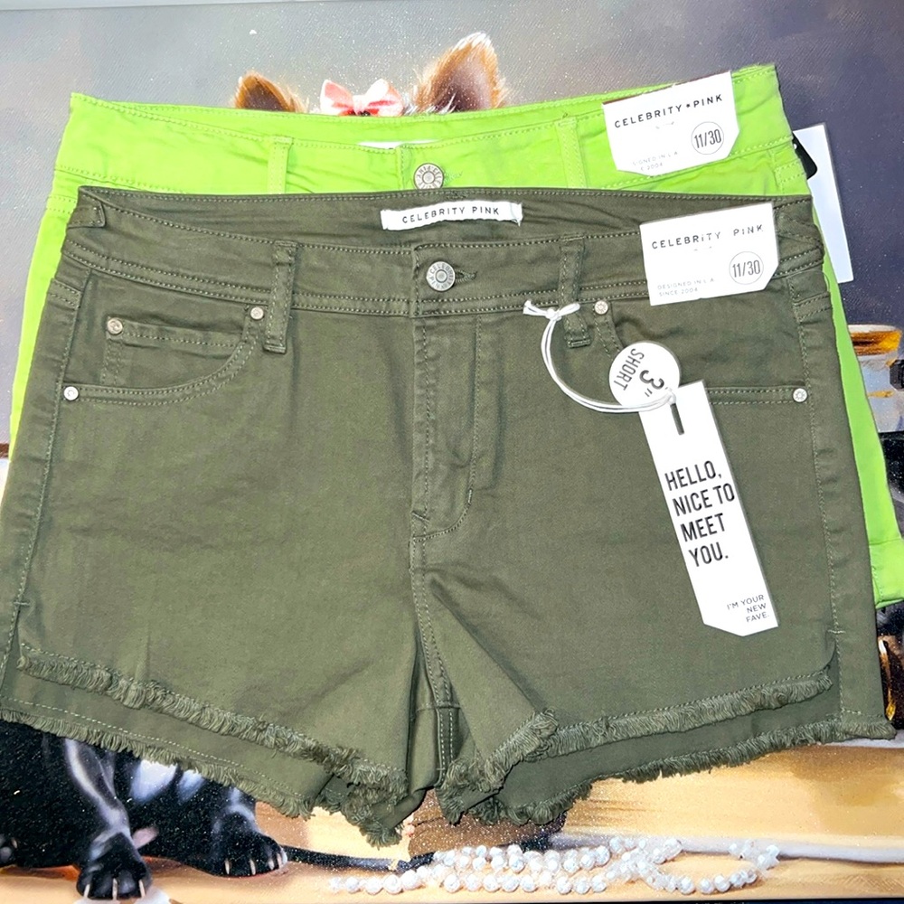 $15 sale for 2 Celebrity Pink Shorts size 11/30w
